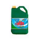 Água sanitária (Lírio do Campo) 5L