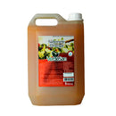 Sabonete (Verdesan) 5L