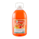 Sabonete líquido (Sebold) 5L