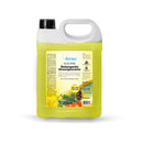 Detergente klyo pine (Renko)